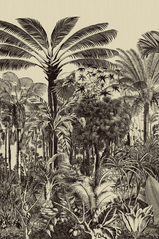 Arte Valle De Viñales Wallpaper