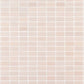Coral Pinks Mosaic Tile in Bare