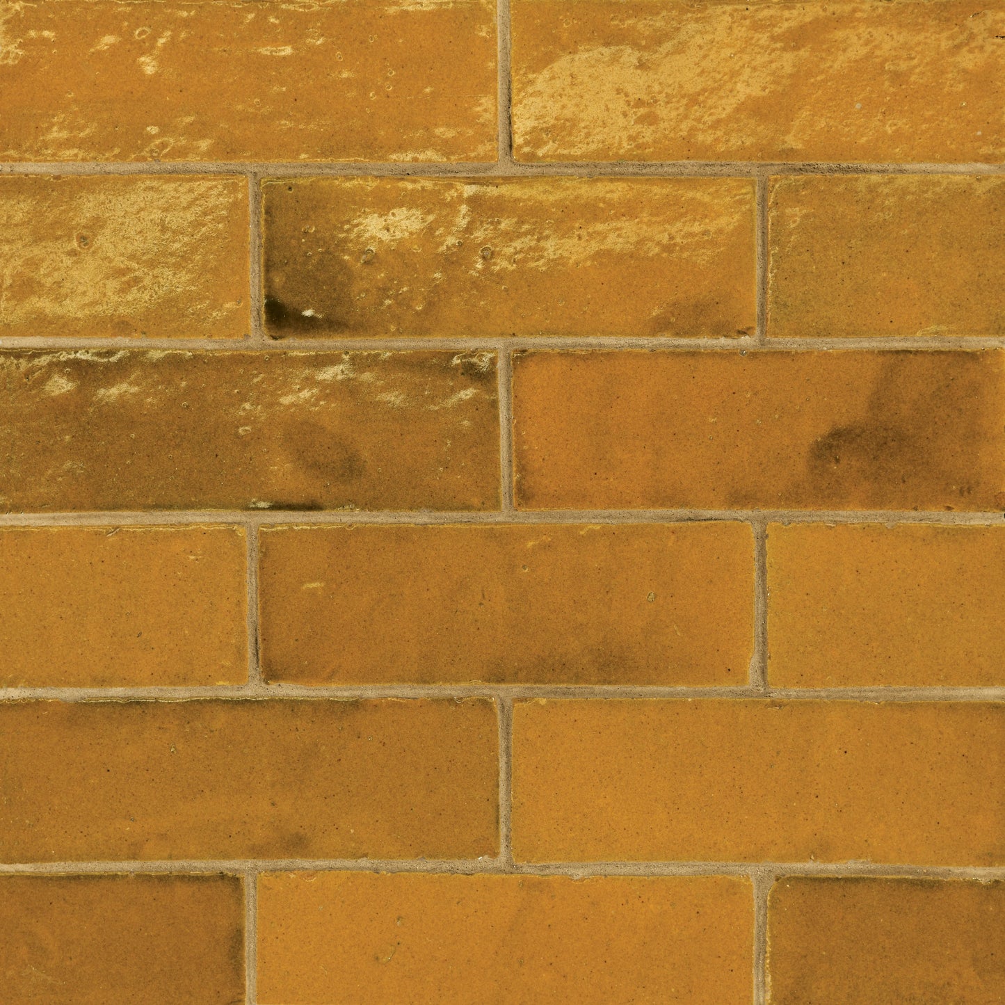 Tunis Zellige Tile Glossy in Honey 2" x 6"
