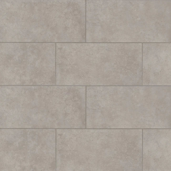 Arista Matte Porcelain Tile in Steel 12" x 24"