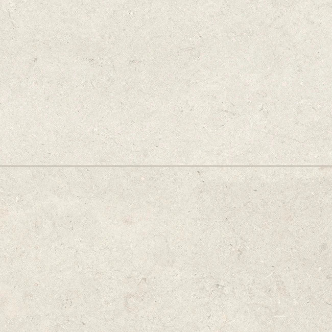 Terra Matte Porcelain Tile 24" x 48"