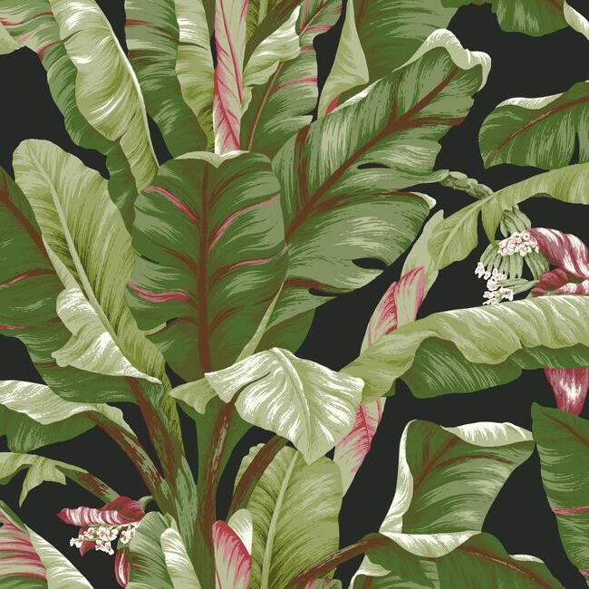 Banana Leaf Wallpaper