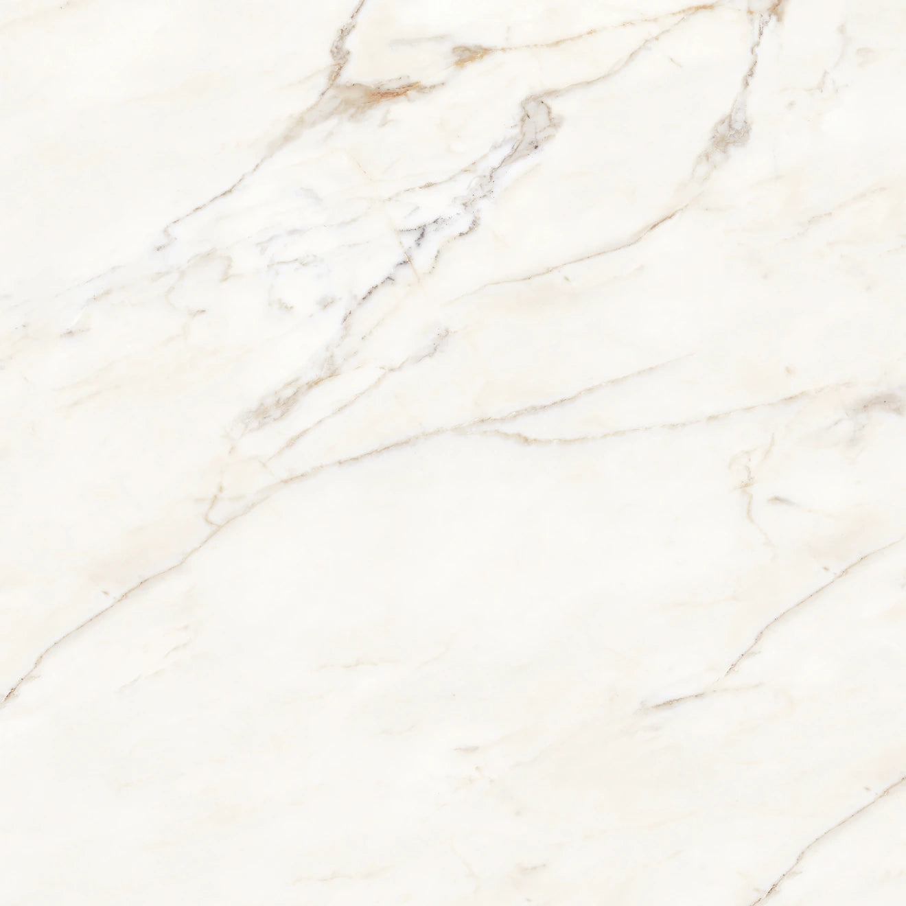 Calacatta Gold Porcelain Slab 60" x 126" - 1/2" Thick