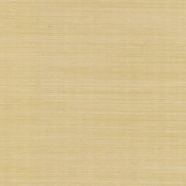 Palette Wallpaper