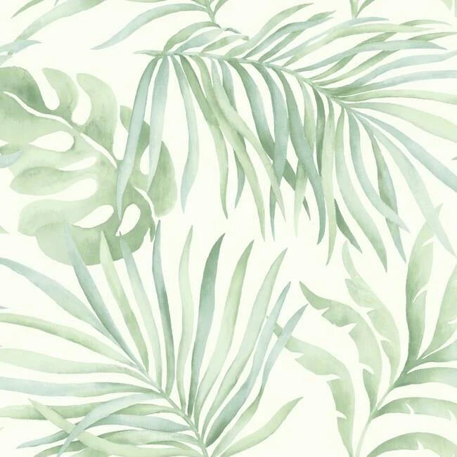 Paradise Palm Wallpaper