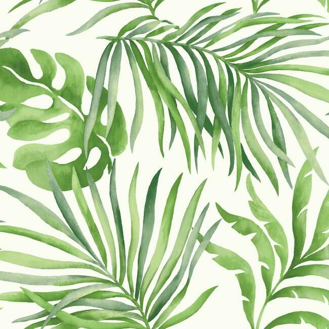 Paradise Palm Wallpaper