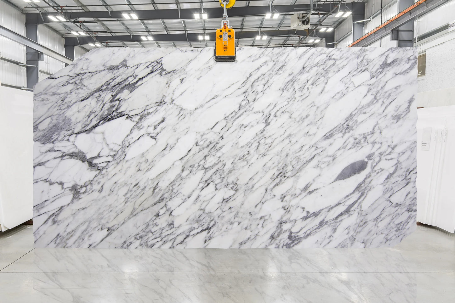 Artistic Tile Calacatta Belgia Marble Slab 3/4" Polished Stone