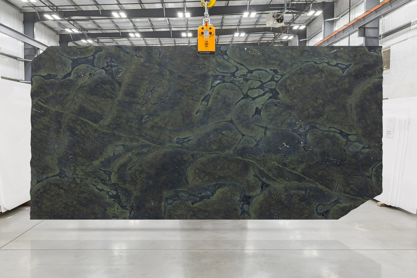 Artistic Tile Vitorria Regia Quartzite Slab 3/4" Honed Stone