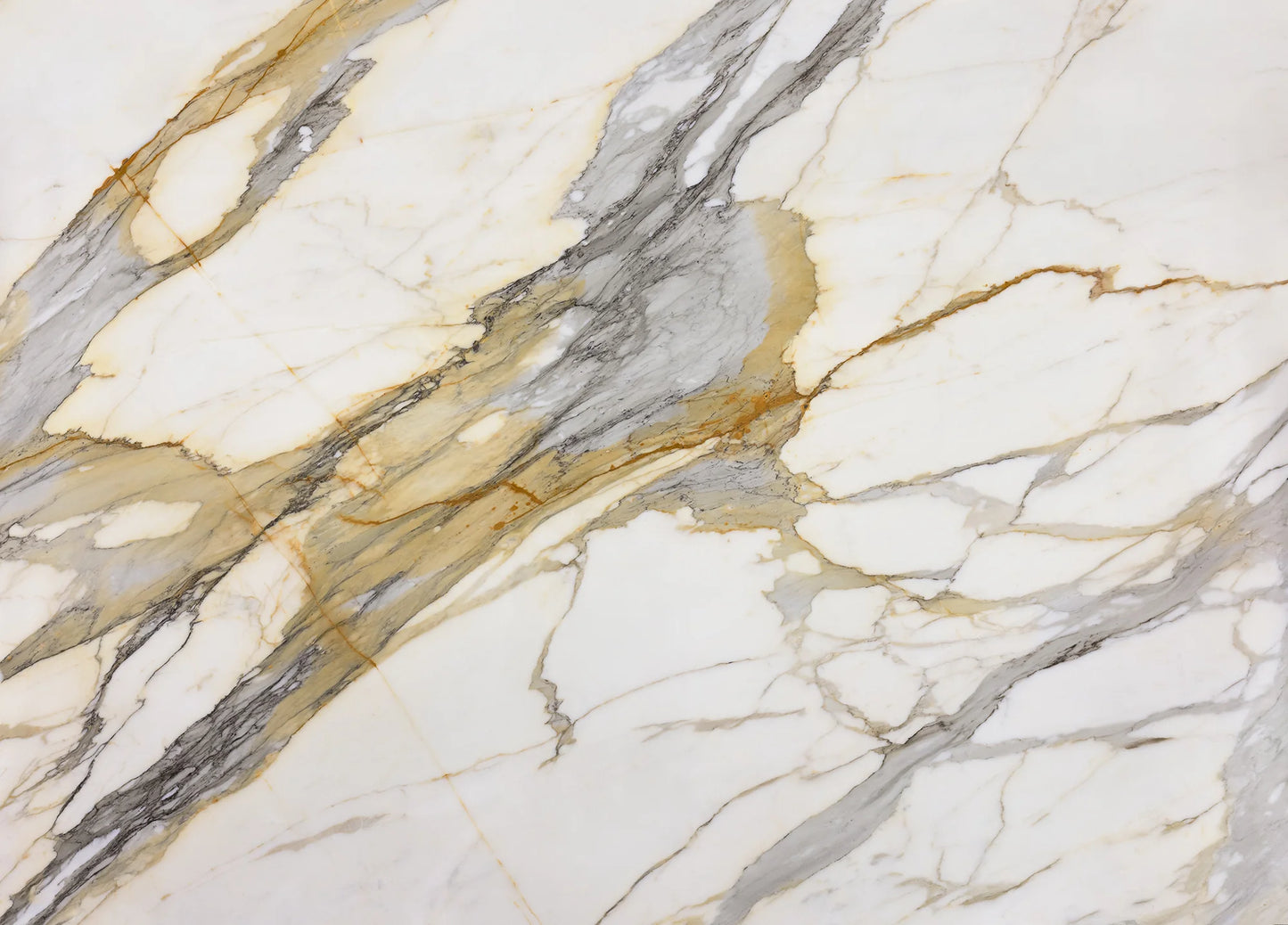 Artistic Tile Calacatta Macchia Vecchia Marble Slab 3/4" Polished Stone