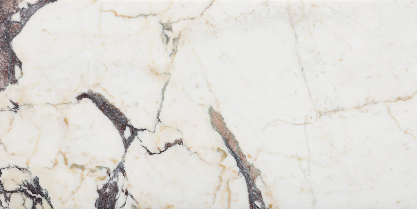 Artistic Tile Calacatta Viola Marble Field Tile Honed 12" X 24"