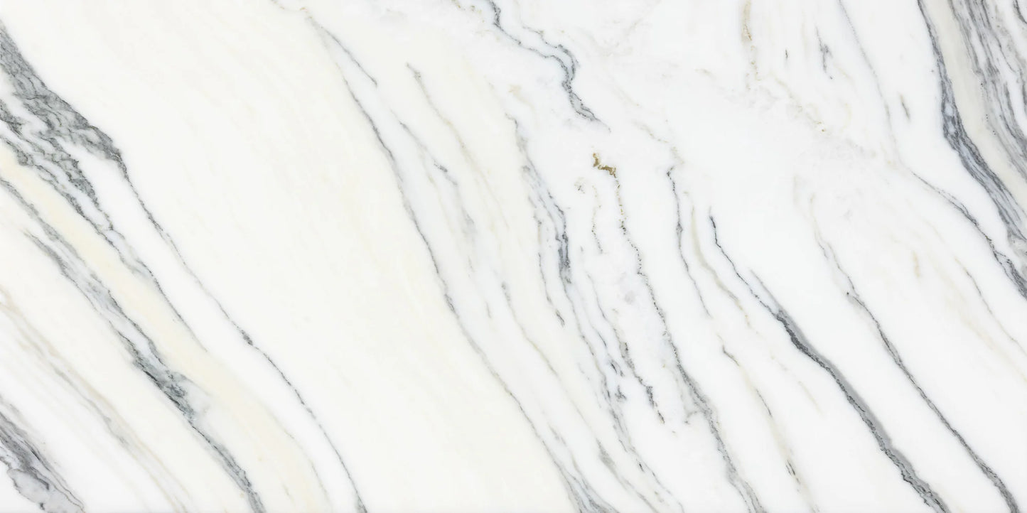 Artistic Tile Fantastico Arni Marble Field Tile Honed 12" X 24"