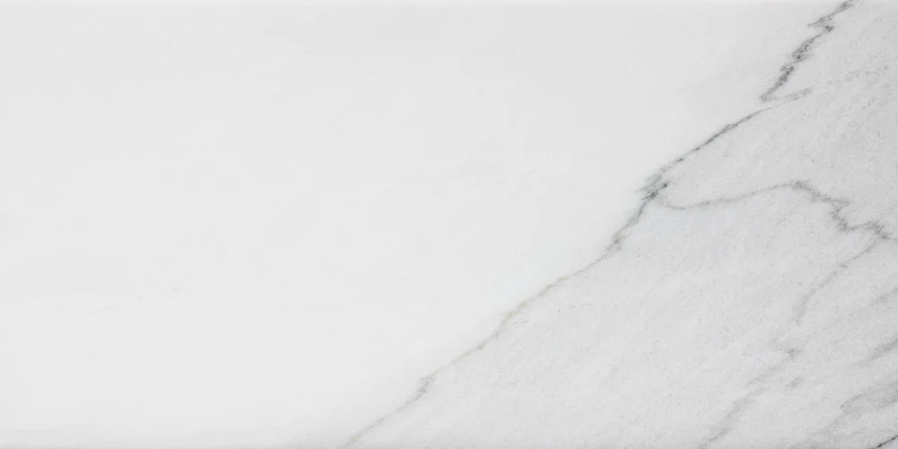 Artistic Tile Lincoln Calacatta Marble Field Tile 12" X 24"