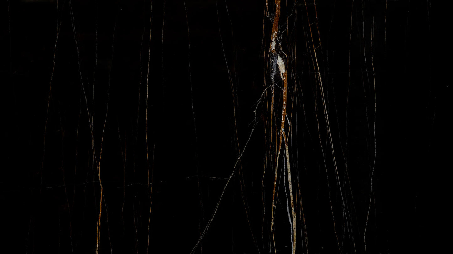 Artistic Tile Nero Dorato Marble Slab 3/4" Polished Stone