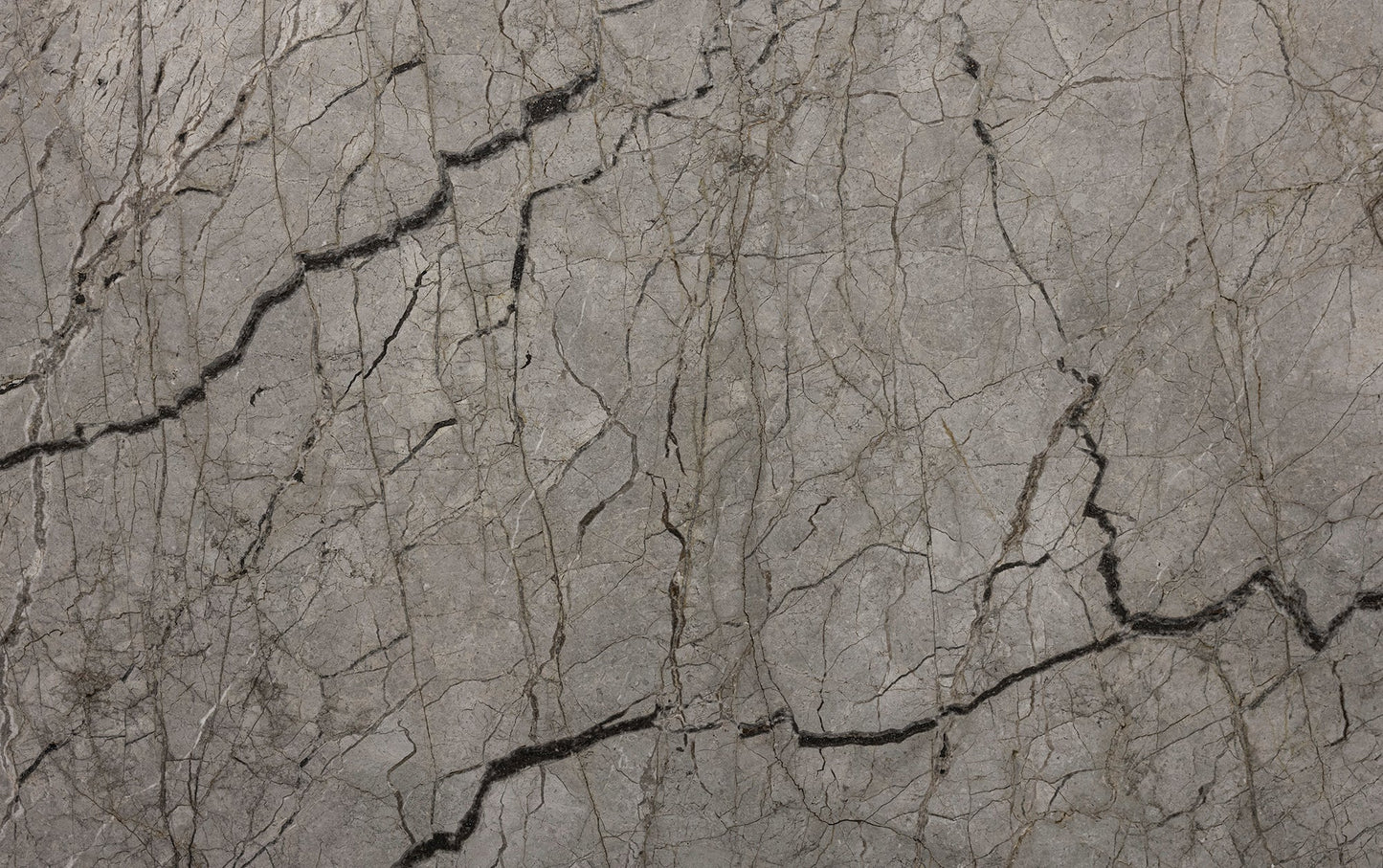 Artistic Tile Silver Root Marble Slab 3/4" Honed Stone
