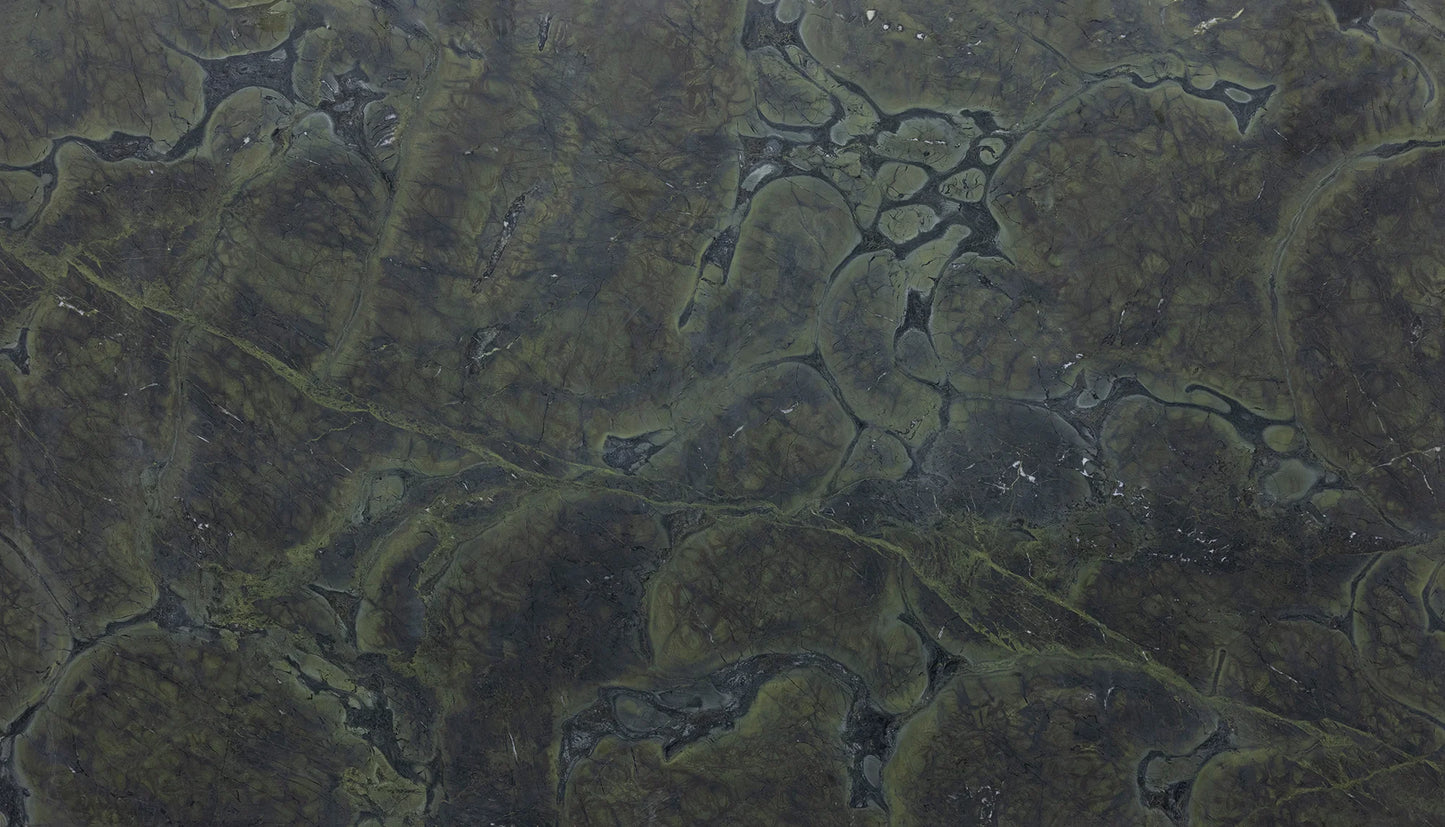 Artistic Tile Vitorria Regia Quartzite Slab 3/4" Honed Stone