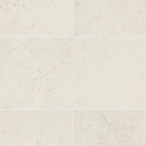 Artistic Tile Bianco Antico Field Tile Polished 12" X 24"