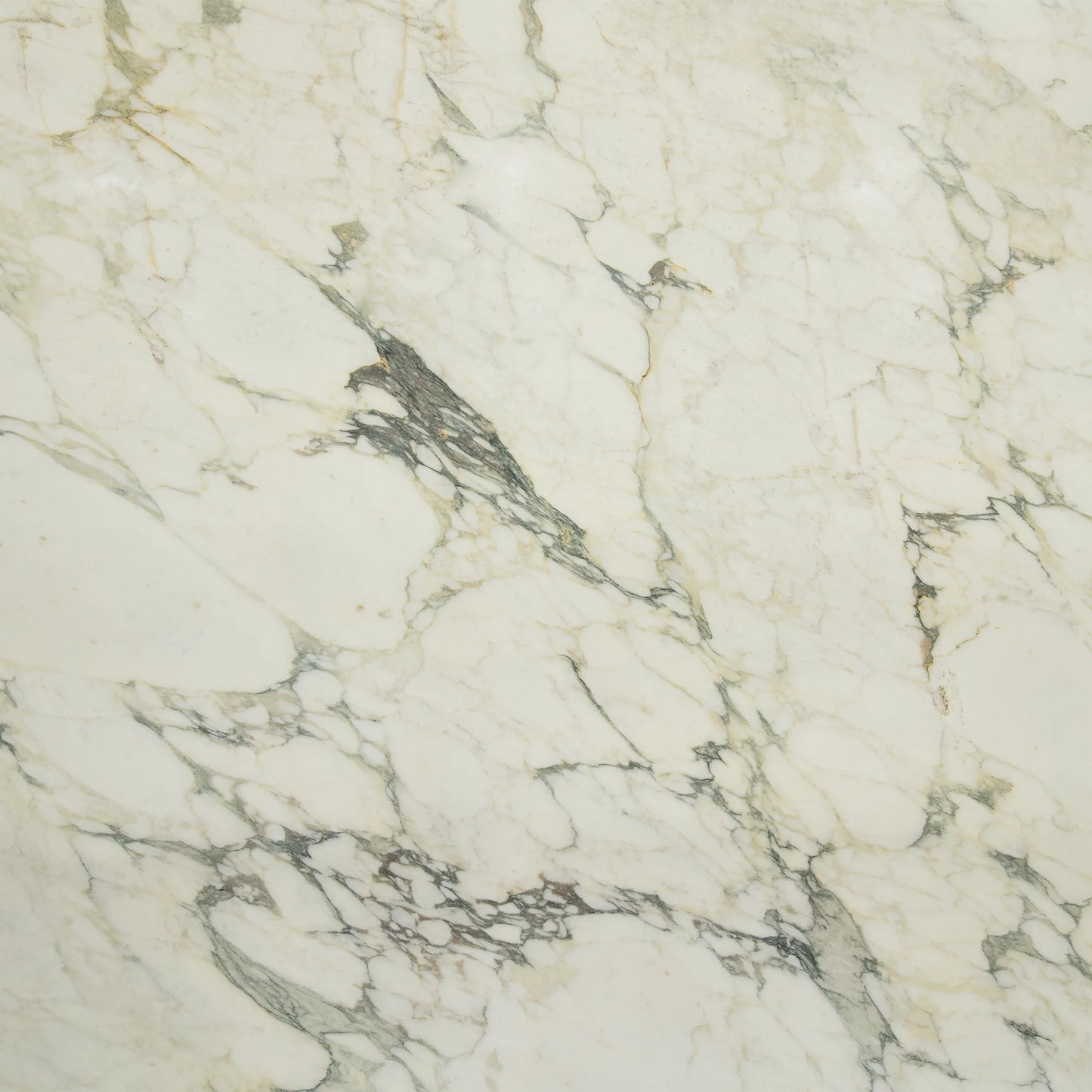 Artistic Tile Calacatta Antica Marble Slab 3/4" Polished Stone