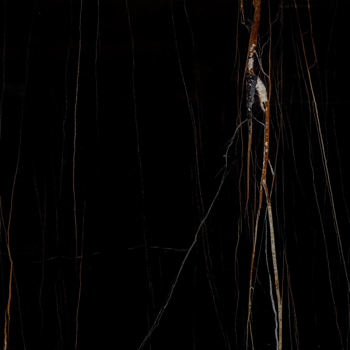 Artistic Tile Nero Dorato Marble Slab 3/4" Polished Stone