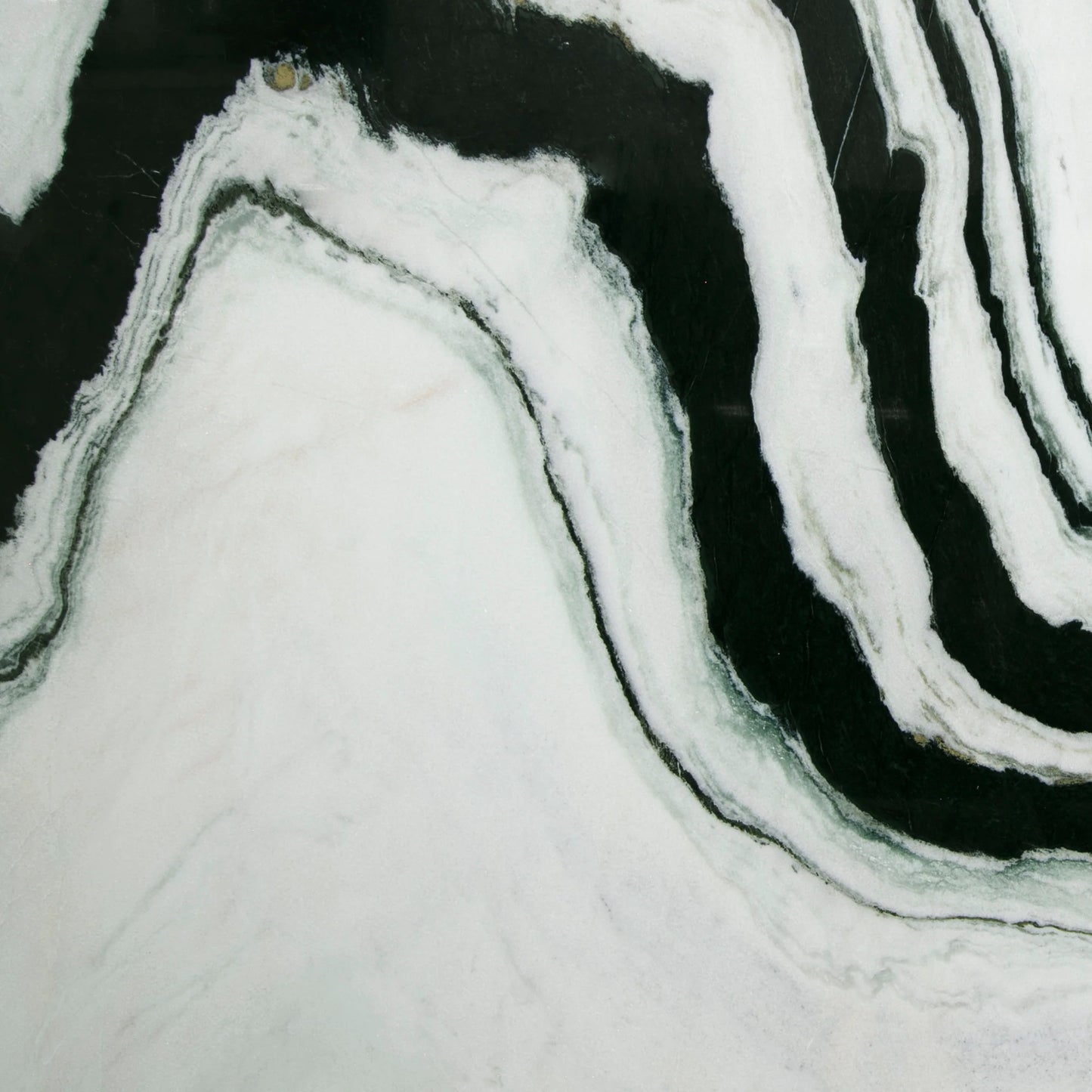Artistic Tile Panda White Marble Slab 3/4" Polished Stone