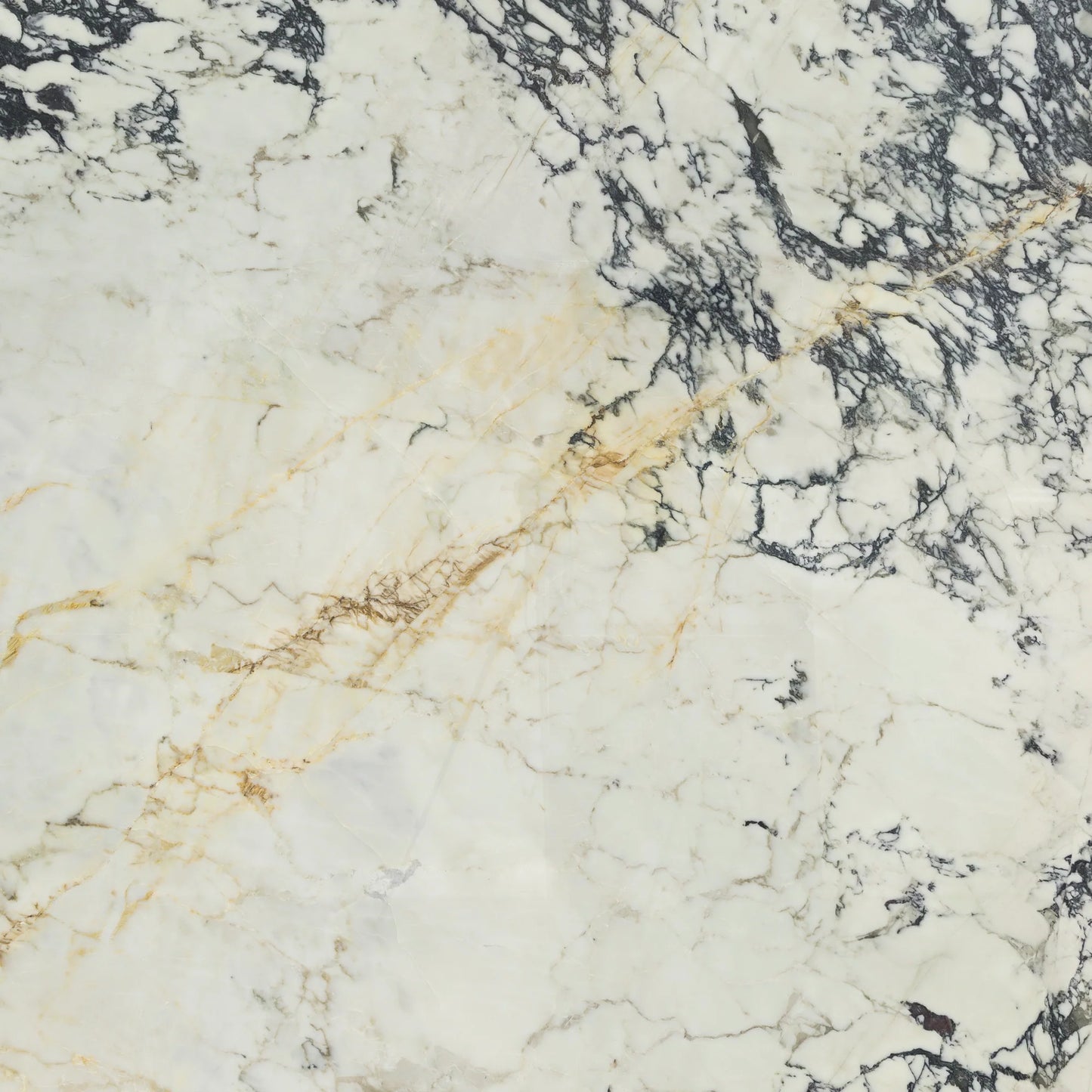 Artistic Tile Paonazzo Marble Slab 3/4" Polished Stone