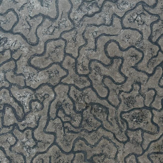 Close-up of Black Passion marble slab showing brushed and leathered texture and dark veining