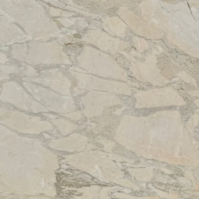 Calacatta Portogallo Honed Marble Slab