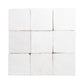 White Square Zellige Tiles