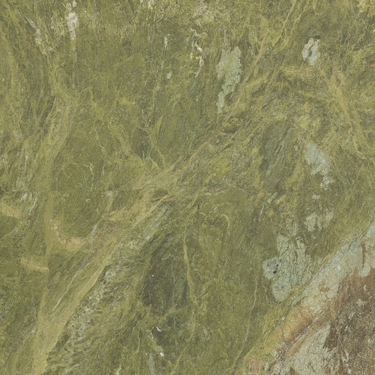 A close-up of a green quartzite slab with an abstract, organic pattern.