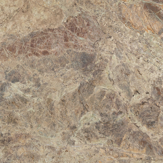 A close-up of a textured quartzite stone with mottled beige, brown, gray, and tan veining.