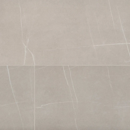 Progetto Matte Porcelain Tile in Beige 24" x 48"