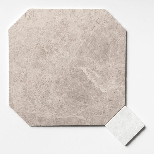 Hexagonal beige tile with a smaller square tile for scale on a white background