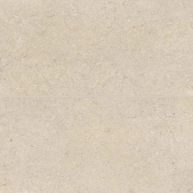 Terra Matte Porcelain Tile 24" x 48"