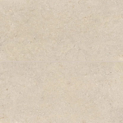 Terra Matte Porcelain Tile 24" x 48"