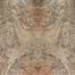 Artistic Tile Terra D Ambar Quartzite Slab 3/4" Honed Stone
