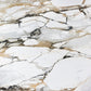 Artistic Tile Limited Edition Calacatta Macchia Vecchia Marble Slab 3/4" Polished Stone