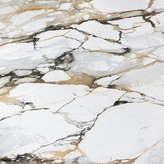 Artistic Tile Limited Edition Calacatta Macchia Vecchia Marble Slab 3/4" Polished Stone