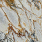 Calacatta Alba Dorato Polished Marble Slab