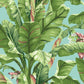 Banana Leaf Wallpaper