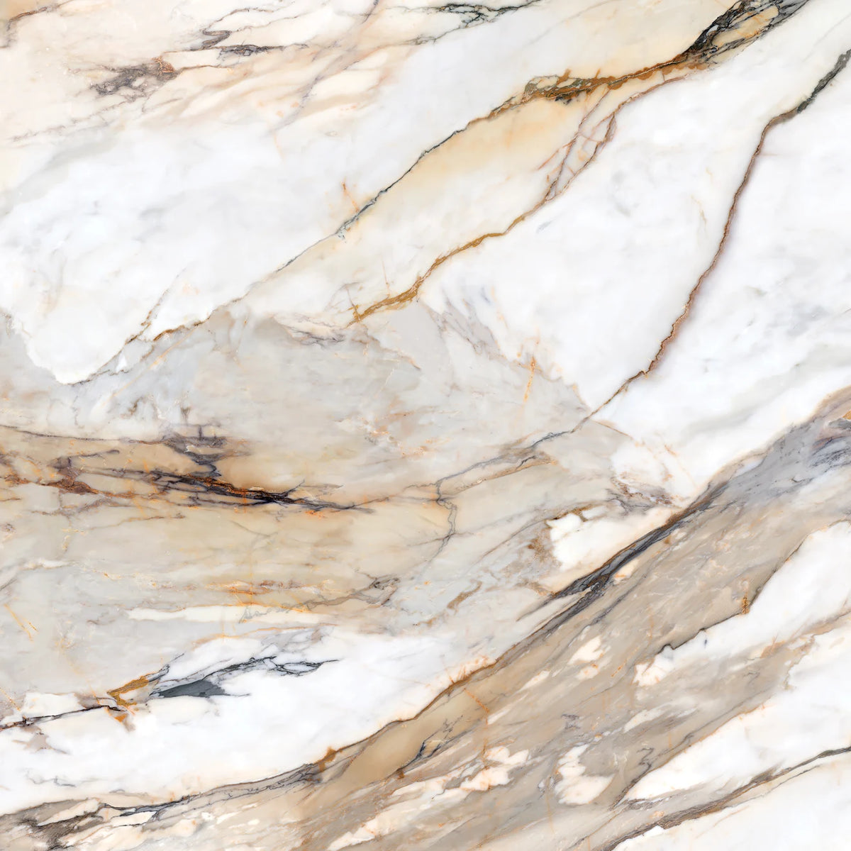 Calcatta Rusta Calacatta Rust Honed Porcelain Slab 60