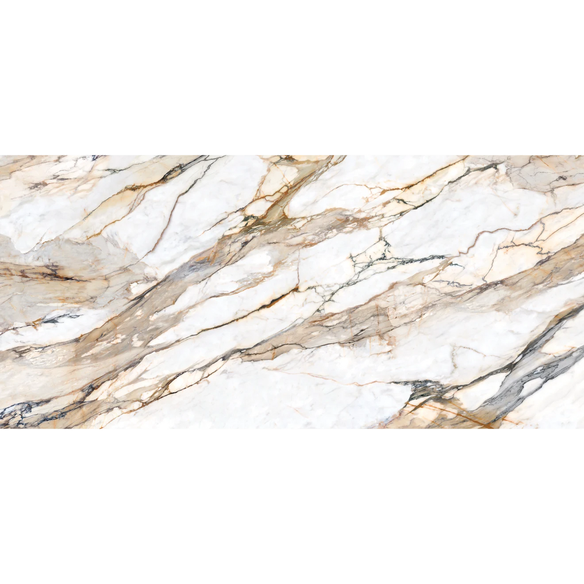 Calcatta Rusta Calacatta Rust Honed Porcelain Slab 60