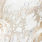Artistic Tile Arabescato D'oro Marble Field Tile Honed 24" X 24"