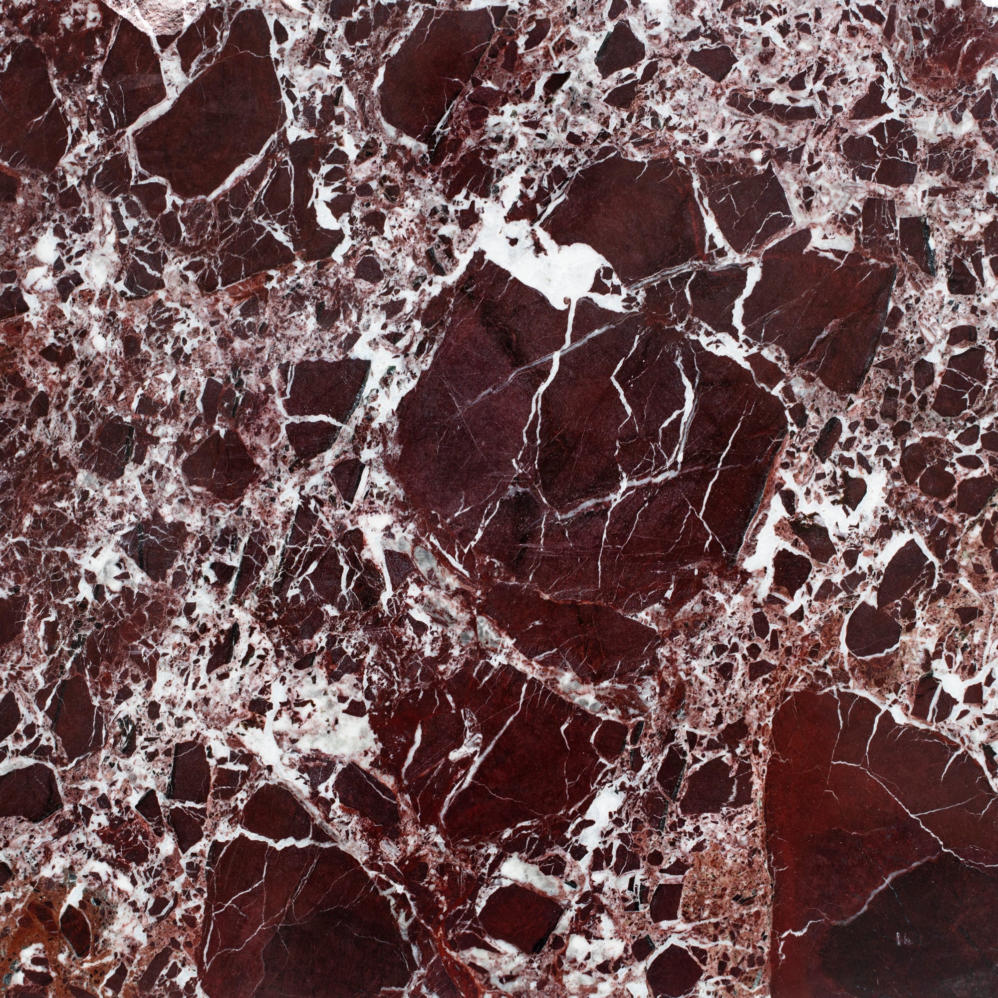 Artistic Tile Breccia Vino Marble Field Tile Polished 18" X 18 ...