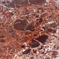 Artistic Tile Breccia Vino Marble Field Tile Polished 18" X 18"