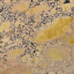 Artistic Tile Breccia Scoppio Slab 3/4" Polished Stone