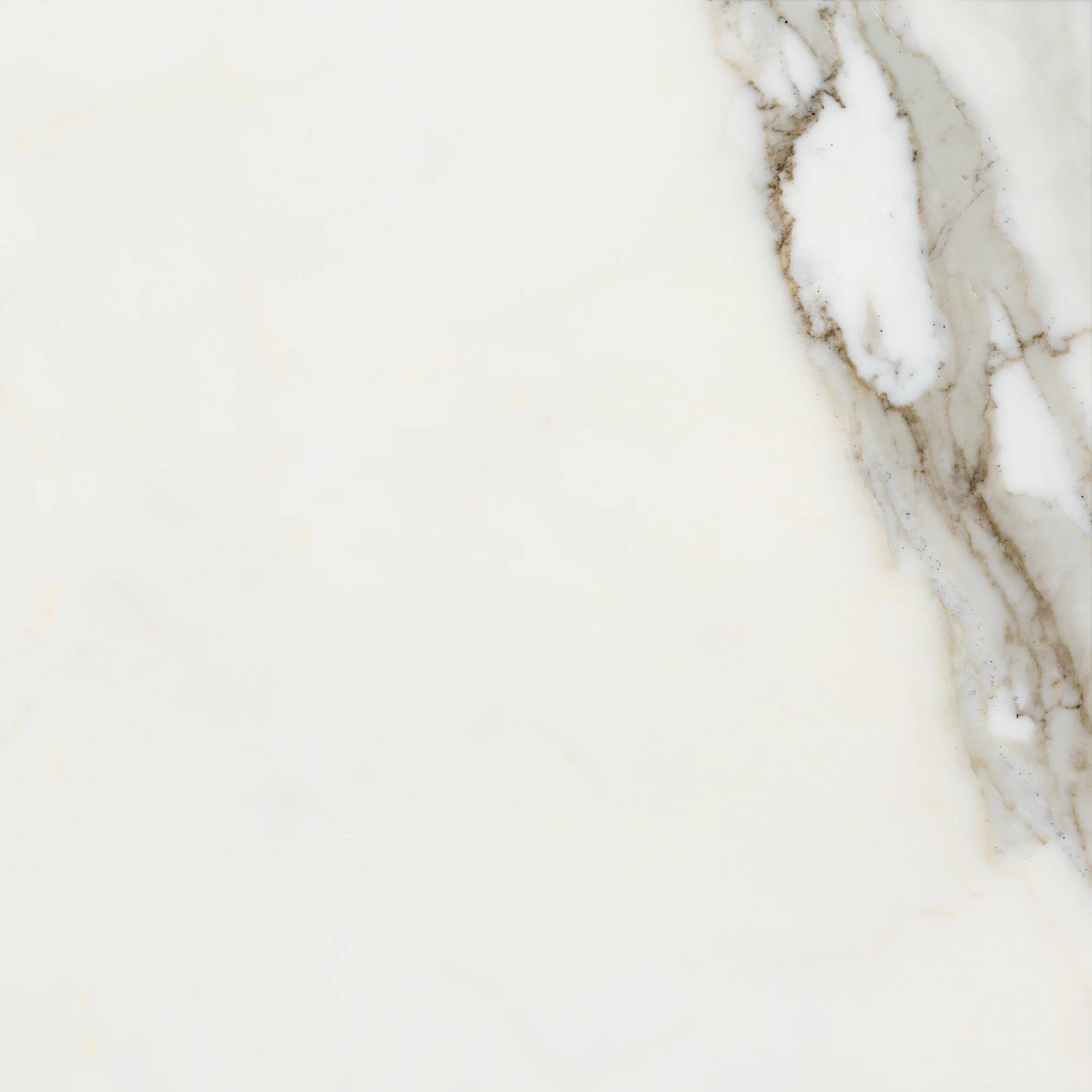 Artistic Tile Calacatta Gold Marble Field Tile Polished 12" x 12"