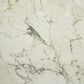 Artistic Tile Calacatta Antica Marble Slab 3/4" Polished Stone