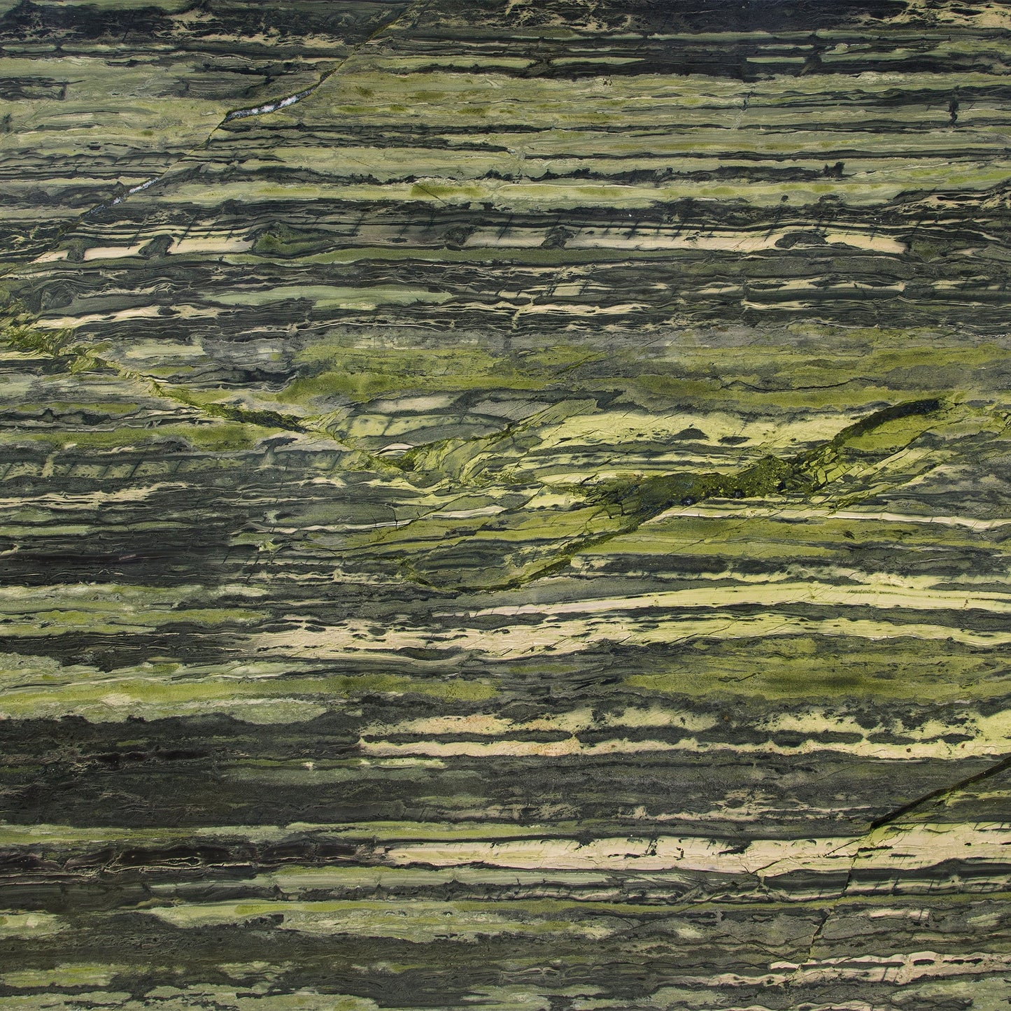 Artistic Tile Green Bamboo Quartzite Slab 3/4" Polished Stone