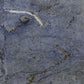 Artistic Tile Azul Bahia Granite Slab 3/4" Polished Stone