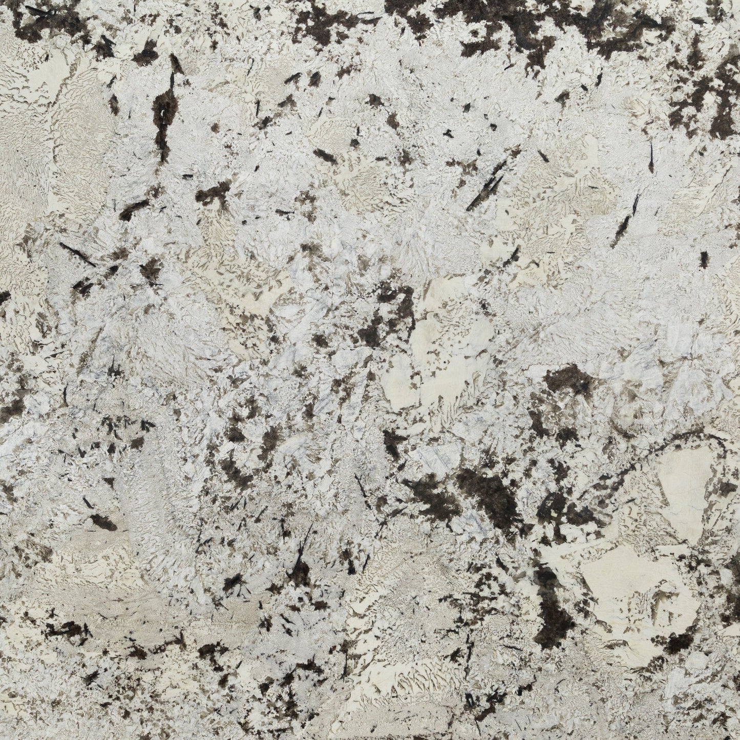 Artistic Tile Royal White Granite Slab 1-1/4" Polished Stone